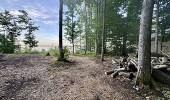 3206 Hidden Ridge Rd, Alanson, MI 49706