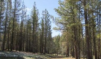 Partin Drive 2, Beatty, OR 97621