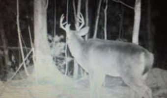 V/L S M-33, Alger, MI 48610