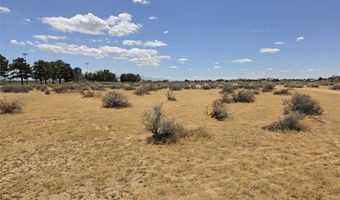 35 Tenaya Rd, Apple Valley, CA 92307