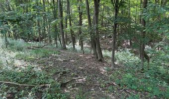 Green Road, Alfred, NY 14802