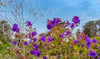 461 Saint Andrews Dr, Aptos, CA 95003