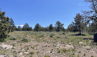 Beaver Lane 37, Bonanza, OR 97623