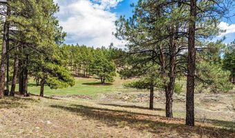 841 Beaver Creek Dr, Bayfield, CO 81122