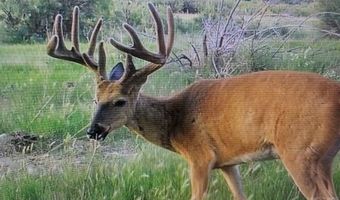 628 Avondale Blvd, Avondale, CO 81022