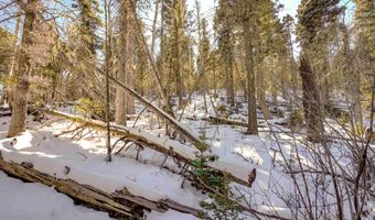 45 And 46 Sacramento Dr, Angel Fire, NM 87710