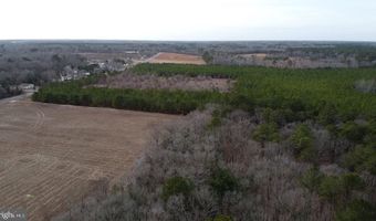 21063 WILSON Rd, Georgetown, DE 19947