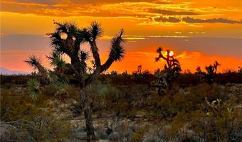 2358 S Cattle Crossing Rd, Yucca, AZ 86438