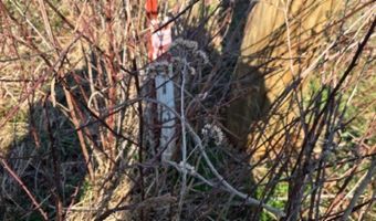 Lord Botetourt Court lot 13, Baxter, TN 38506