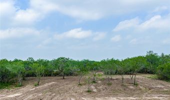 0123 N Highway 281, Alice, TX 78332