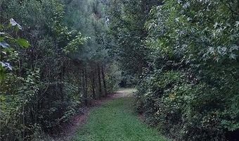 10505 Ruth Vinson Rd, Autryville, NC 28318