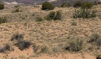 DUANE Street, Abiquiu, NM 87510