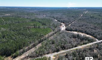 9 Robinsonville Rd, Atmore, AL 36502