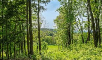 62 Cobb Hill Rd, Alstead, NH 03602