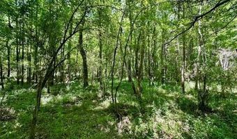 NE Williams Street, Brookhaven, MS 39601