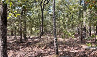 Tract 51 Highway 2, Antlers, OK 74523