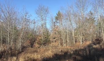 Baldwin Rd Route 11 lot 4, Baldwin, ME 04024