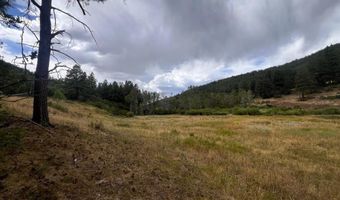 3230 Bear Creek Rd, Bayfield, CO 81122