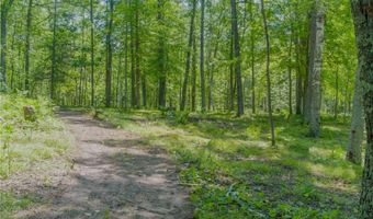 32003 Nuthatch Ave, Aitkin, MN 56431