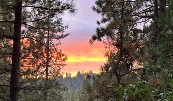 1771 Tamarack Dr, Arnold, CA 95223
