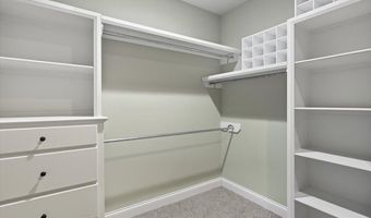 205 Wellington Way, Brandon, MS 39047