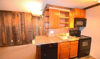107 PEAKS VIEW Ct 324, Blue River, CO 80424