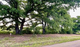 LOT 6 CR 1560, Alba, TX 75410