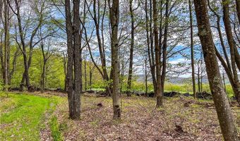 State Route 28 lot # 10, Andes, NY 13731