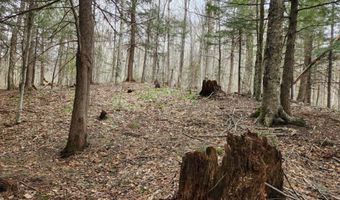 0 Clarks/Woodland Trl 409-4, Alexandria, NH 03220