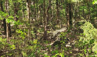 Strawberry Valley Road, Ash Flat, AR 72513