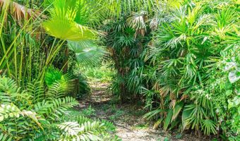 2 E KELLY PARK Rd, Apopka, FL 32712