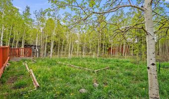 1456 Highpoint Cir, Black Hawk, CO 80422