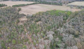 County Road 91, Banks, AL 36005