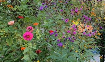 84 Charlotte St, Burlington, VT 05401