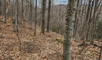 0 Clarks/Woodland Trl 409-4, Alexandria, NH 03220