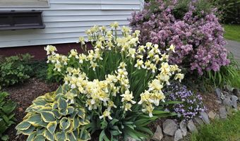 141 Forest Ave, Bangor, ME 04401