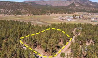 County Road 2325, Alpine, AZ 85920