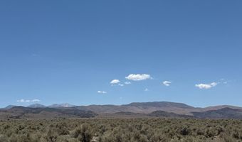 Fenceline Road, Gardnerville, NV 89410