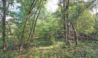 7750 Pine Rd, Arena, WI 53503