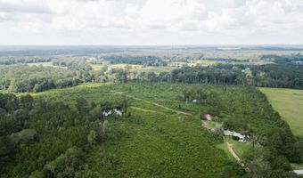 2778 SW Big Creek Dr, Bogue Chitto, MS 39629