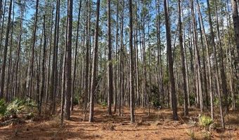 NW County Road 236, Bell, FL 32619