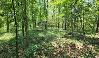 Barnacre Road, Batesville, MS 38606