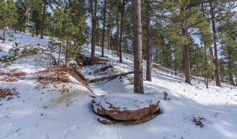 21376 Hedgehog Ln, Deadwood, SD 57732