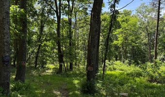 79 CABIN Rd, Augusta, WV 26704