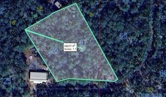 1 Ac Chief Rd, Abbeville, AL 36310