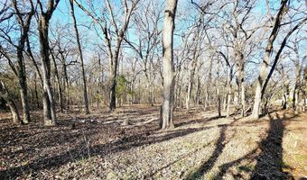 Lot 221 Banjo Court, Alvord, TX 76225
