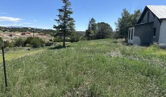 132 E Cedar Road Rd, Capitan, NM 88316