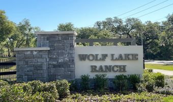 3270 Wolf Lake Ave, Apopka, FL 32712