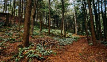 0 Weidick Rd, Andes, NY 13731