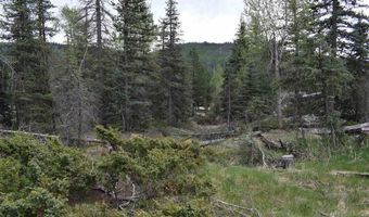 264 Ponderosa Homes Rd, Bayfield, CO 81137